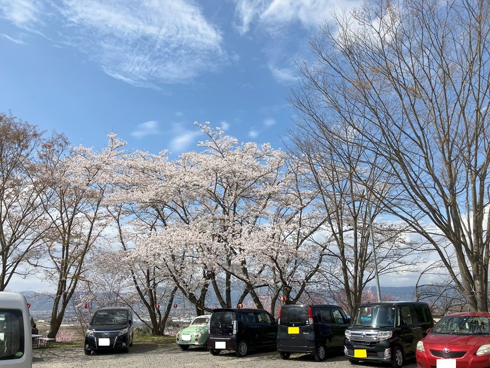 紅屋峠　千本桜森林公園